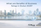 What are Benefits of Business Setup in Dubai 2026?
