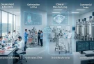 How to Scale Biomanufacturing Processes for Cell and Gene Therapy