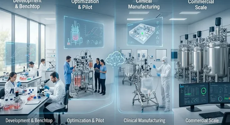 How to Scale Biomanufacturing Processes for Cell and Gene Therapy